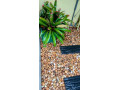 landscaping-service-small-3